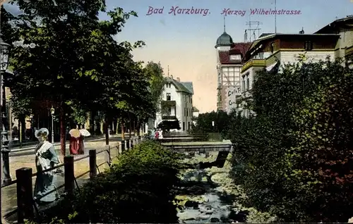 Ak Bad Harzburg in Niedersachsen, Herzog Wilhelmstraße, Bach, Kastanien