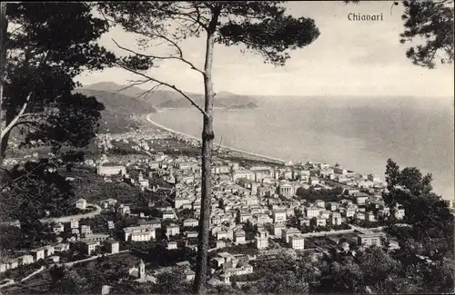 Ak Chiavari Liguria, Totale