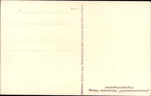 Ak Blankenburg, Chrysopraswasserfall mit Haus, Schwarzatal
