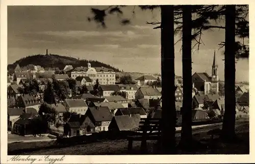 Ak Altenberg im Erzgebirge, Gesamtansicht