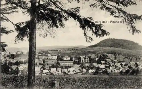 Ak Altenberg im Erzgebirge, Panorama