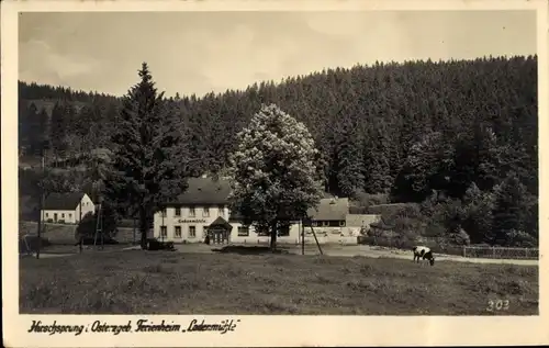 Ak Hirschsprung Altenberg im Erzgebirge, Ferienheim Ladenmühle am Waldrand