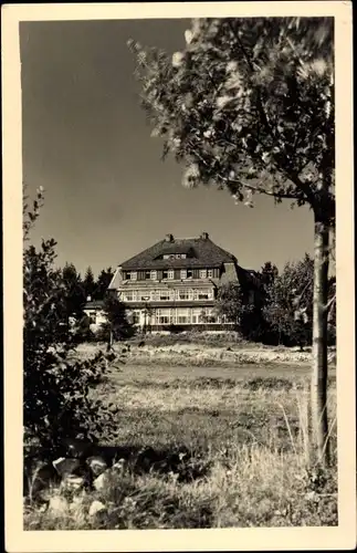 Ak Zinnwald Georgenfeld Altenberg im Erzgebirge, Lugsteinhof