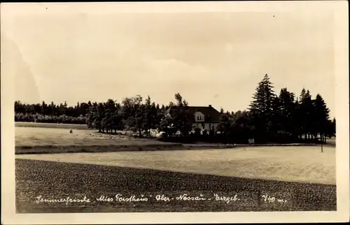 Foto Ak Ober Nassau Frauenstein im Erzgebirge, Sommerfrische Altes Forsthaus