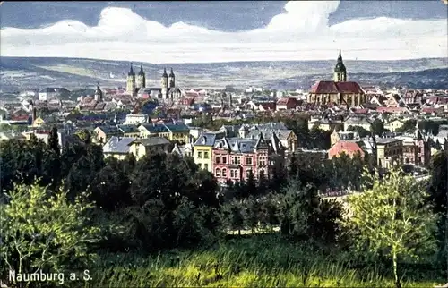 Künstler Ak Naumburg an der Saale, Totalansicht, Dom
