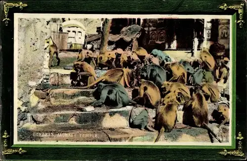 Passepartout Ak Varanasi Benares Indien, Monkey Temple