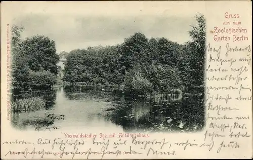 Ak Berlin Tiergarten, Zoologischer Garten, Vierwaldstädter See mit Antilopenhaus