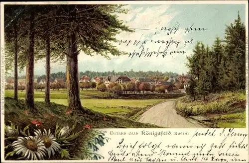 Litho Königsfeld im Schwarzwald Baar Kreis, Straßenpartie mit Blick zum Ort