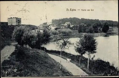 Ak Iława Deutsch Eylau Westpreußen, Partie am See