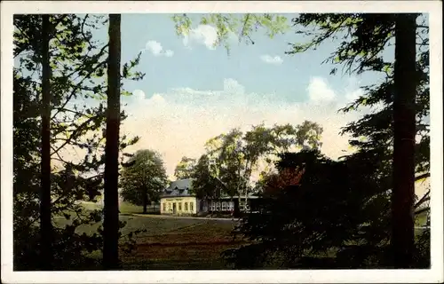 Ak Elterlein Erzgebirge, Gasthaus und Handelsbienenstand Finkenburg, Inh. Georg Schaarschmidt