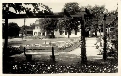 Ak Hartha Hintergersdorf Tharandt im Erzgebirge, Parkanlage