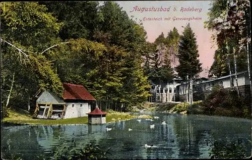 Ak Augustusbad Radeberg Sachsen, Ententeich mit Genesungsheim
