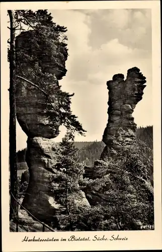 Ak Rosenthal Bielatal Sächsische Schweiz, Herkulessäulen, Felsen