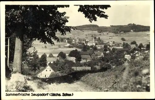 Foto Ak Saupsdorf Sebnitz Sächsische Schweiz, Teilansicht