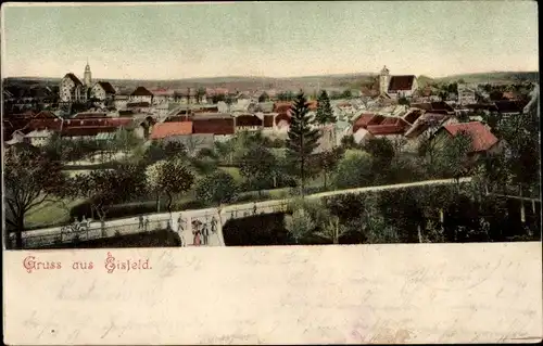 Ak Eisfeld in Thüringen, Panorama