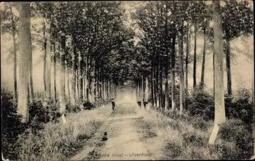 Ak Ulvenhout Nordbrabant Niederlande, Anna dreef