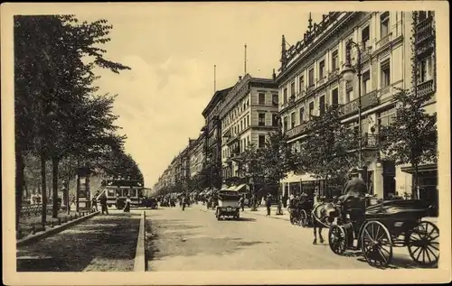 Ak Berlin Mitte, Unter den Linden, Omnibus, Kutschen