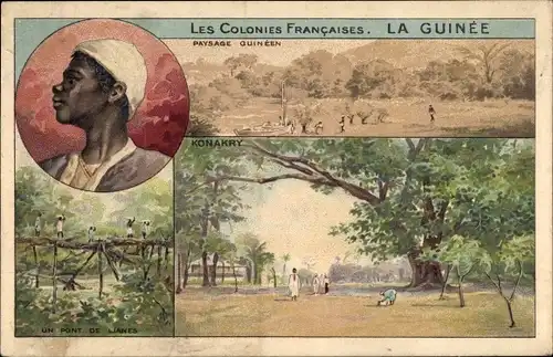 Litho Conakry Guinea, Paysage, Un Pont de Lianes