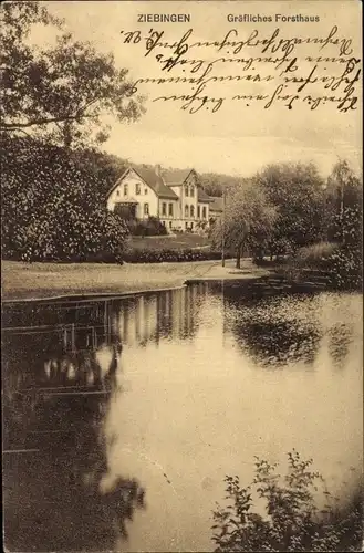 Ak Cybinka Ziebingen Neumark Ostbrandenburg, Gräfliches Forsthaus