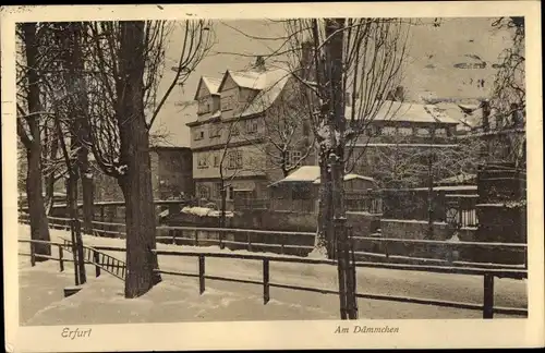 Ak Erfurt in Thüringen, Am Dämmchen