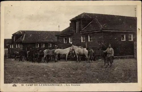 Ak Ludwigswinkel in der Pfalz, Camp, les Écuries, Pferdeställe, Soldaten