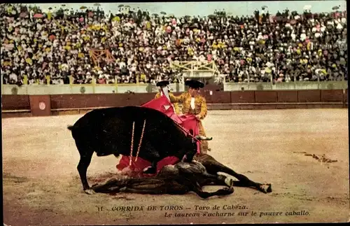 Ak Corrida de Toros, Toro de Cabeza, le taureau s'acharne sur le pauvre caballo