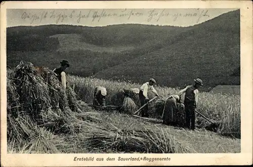 Ak Erntebild aus dem Sauerland, Roggenernte, Landwirtschaft