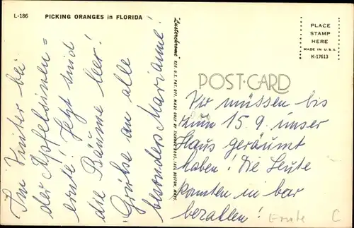 Ak Picking Oranges in Florida, Orangen-Ernte