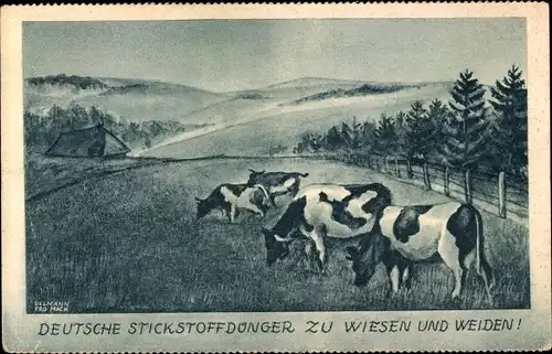 Künstler Ak Deutsche Stickstoffdünger zu Wiesen und Weiden