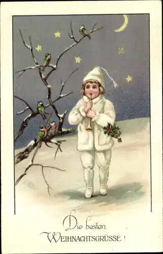 Ak Glückwunsch Weihnachten, Kind spielt Flöte, Vögel auf einem Baum