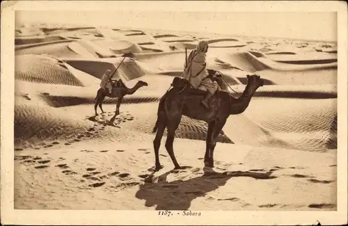Ak Sahara, Krieger in der Wüste, Kamele
