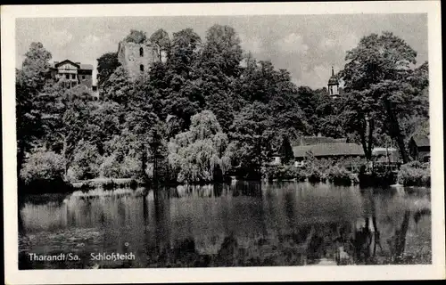 Ak Tharandt im Erzgebirge, Schlossteich, Ruine