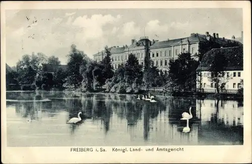 Ak Freiberg in Sachsen, Königl. Land- und Amtsgericht, Gewässer, Schwäne