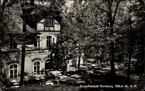 Ak Dresden Schönfeld Weißig Borsberg, Bergwirtschaft Borsberg, Terrasse