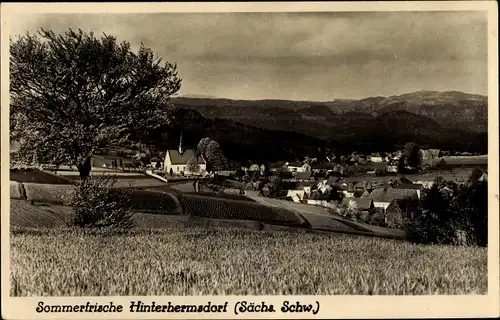 Ak Hinterhermsdorf Sebnitz, Blick auf den Ort, Kirche, Felder