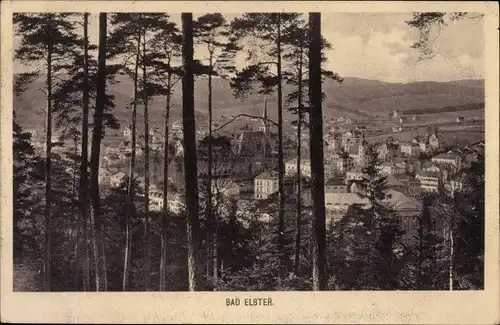 Ak Bad Elster im Vogtland, Panorama