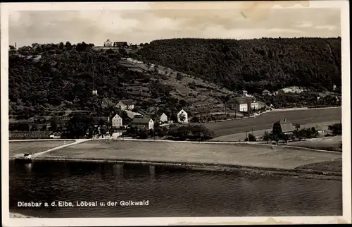 Ak Diesbar Seußlitz an der Elbe, Ort mit Umgebung, Löbsal und der Golkwald