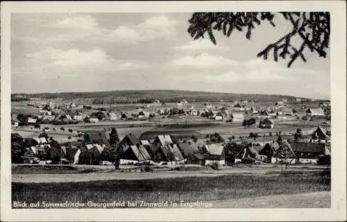 Ak Zinnwald Georgenfeld Altenberg im Erzgebirge, Panorama