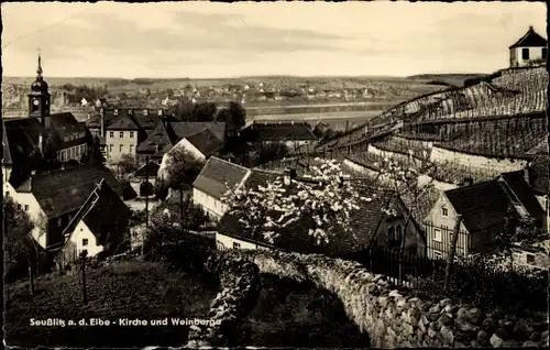 Ak Diesbar Seußlitz Nünchritz an der Elbe, Kirche und Weinberge