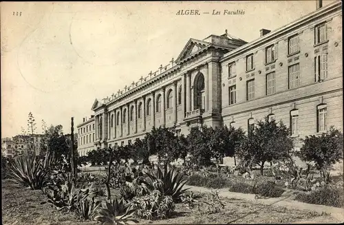 Ak Algier Alger Algerien, Les Facultes