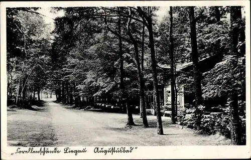 Ak Liegau Augustusbad Radeberg in Sachsen, Forellenschänke, Außenansicht, Waldweg