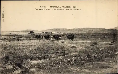 Ak Moulay Taieb Marokko, 1916, Corvee d'Alfa, une casbah de la Zaouia