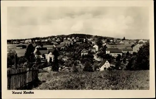Ak Hartha Hintergersdorf Tharandt im Erzgebirge, Panorama