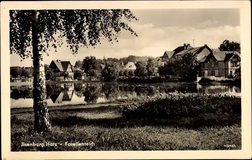 Ak Ilsenburg am Nordharz, Forellenteich