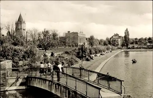 Ak Merseburg an der Saale, Gotthardsteich, Brücke, Ruderboote