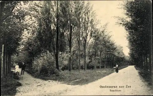 Ak Oostvoorne aan Zee Südholland, Boschlaan