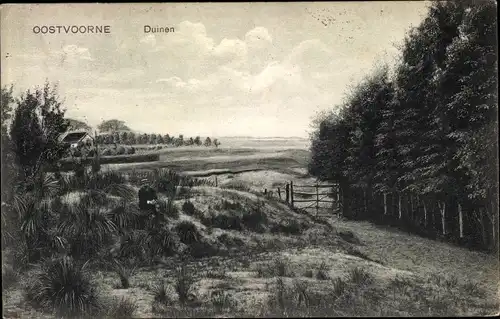 Ak Oostvoorne aan Zee Südholland, Duinen