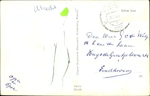 Ak Rhenen Utrecht, Ouwehands Dierenpark, Op de Grebbeberg