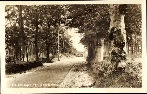 Ak Soesterberg Utrecht Niederlande, Op het topje