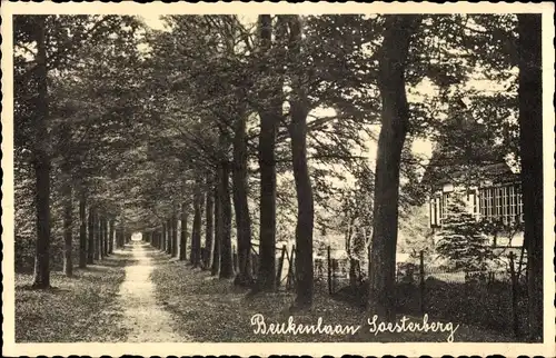 Ak Soesterberg Utrecht Niederlande, Beukenlaan